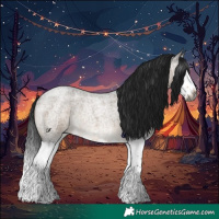 Horse Color:Gray Brown Roan Dun Splash Rabicano 