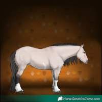 Horse Color:Platinum Bay Dun Tobiano