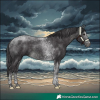 Horse Color:Platinum Buckskin Tobiano 