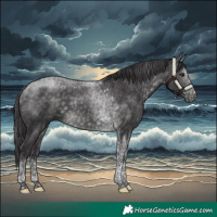 Horse Color:Platinum Buckskin Tobiano