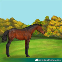 Horse Color:Brown 