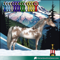 Horse Color:White Spotted Liver Red Dun Mushroom Rabicano 