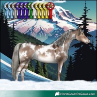 Horse Color:White Spotted Liver Red Dun Mushroom Rabicano 