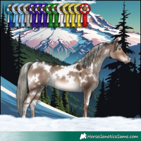 Horse Color:White Spotted Liver Red Dun Mushroom Rabicano