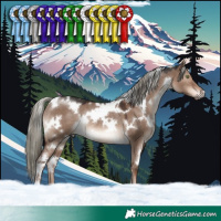Horse Color:White Spotted Liver Red Dun Mushroom Rabicano