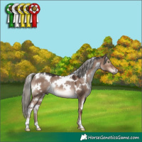 Horse Color:White Spotted Liver Red Dun Mushroom Rabicano 