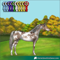 Horse Color:White Spotted Liver Red Dun Mushroom Rabicano 