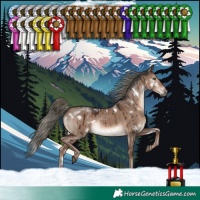 Horse Color:White Spotted Liver Red Dun Mushroom Rabicano Brindle