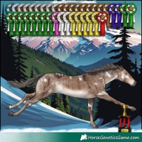 Horse Color:White Spotted Liver Red Dun Mushroom Rabicano Brindle