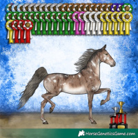 Horse Color:White Spotted Liver Red Dun Mushroom Rabicano Brindle 