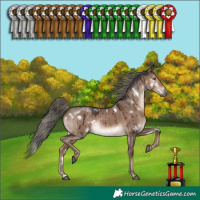 Horse Color:White Spotted Liver Red Dun Mushroom Rabicano Brindle 