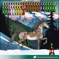 Horse Color:White Spotted Liver Red Dun Mushroom Rabicano Brindle 