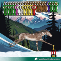 Horse Color:White Spotted Liver Red Dun Mushroom Rabicano Brindle 