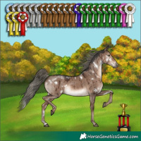 Horse Color:White Spotted Liver Red Dun Mushroom Rabicano Brindle 