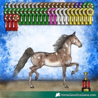 Horse Color:White Spotted Liver Red Dun Mushroom Rabicano Brindle 