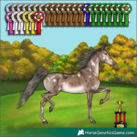 Horse Color:White Spotted Liver Red Dun Mushroom Rabicano Brindle