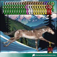 Horse Color:White Spotted Liver Red Dun Mushroom Rabicano Brindle