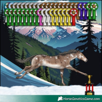 Horse Color:White Spotted Liver Red Dun Mushroom Rabicano Brindle 