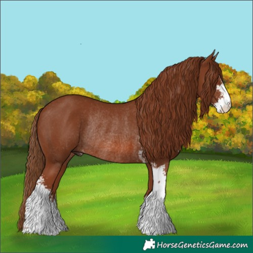 Horse Color:Chestnut Sabino Rabicano 