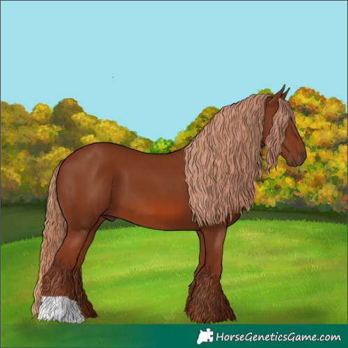 Horse Color:Chestnut 
