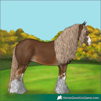 Horse Color:Chocolate Palomino 