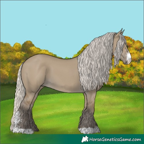 Horse Color:Silver Smoky Grullo Sabino 