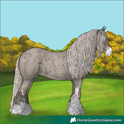 Horse Color:Silver Smoky Blue Roan Sabino 