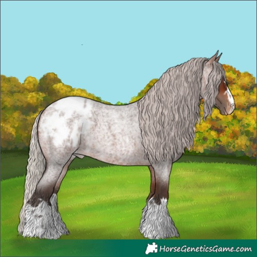 Horse Color:Silver Bay Roan Varnish 