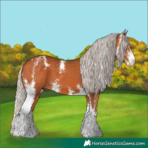 Horse Color:Silver Bay Sabino 