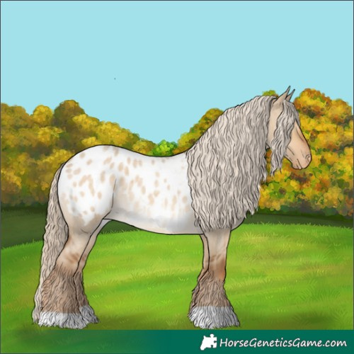 Horse Color:Chocolate Palomino Roan Dun Appaloosa 