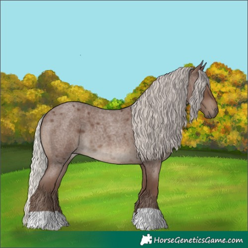 Horse Color:Silver Blue Roan 