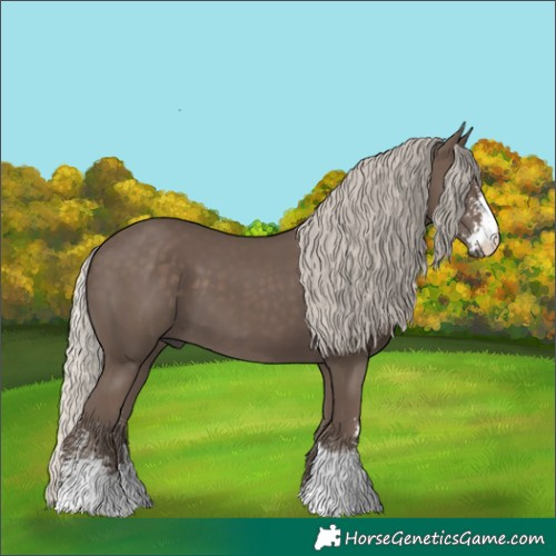 Horse Color:Silver Black Sabino 