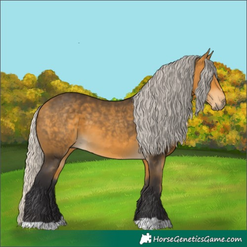 Horse Color:Silver Buckskin 