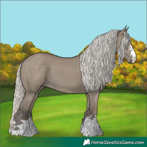 Horse Color:Silver Smoky Grullo 