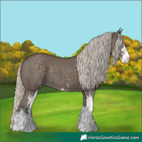 Horse Color:Silver Smoky Black Sabino 