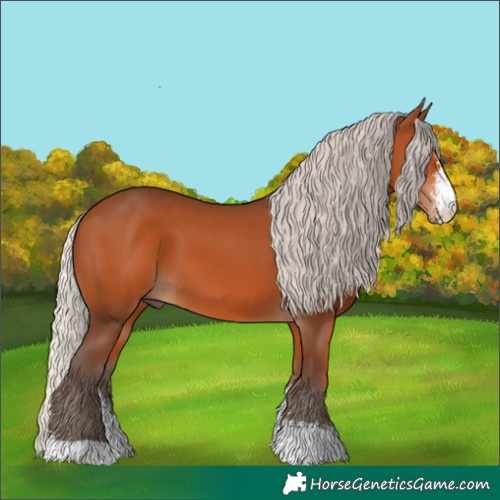Horse Color:Silver Bay Sabino 