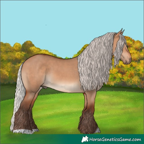 Horse Color:Silver Bay Dun 