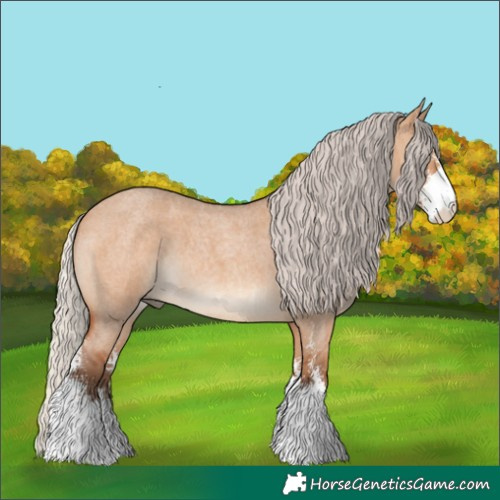 Horse Color:Silver Bay Roan Dun Sabino 