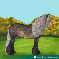 Horse Color:Silver Smoky Black 