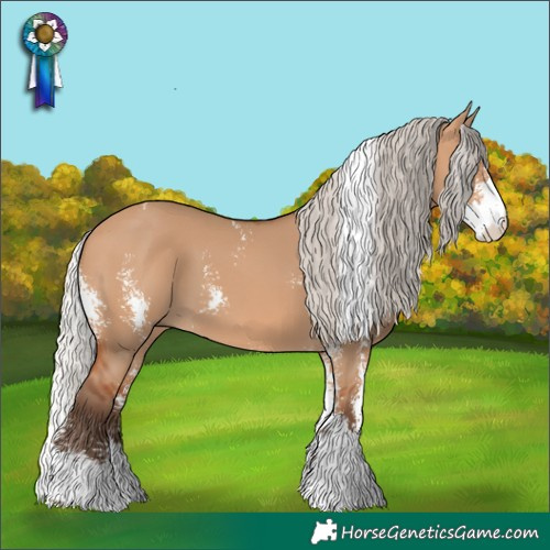 Horse Color:Silver Bay Dun Sabino 