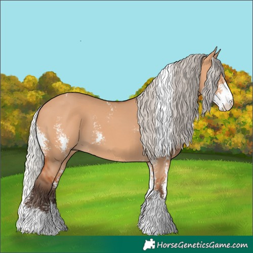 Horse Color:Silver Bay Dun Sabino 