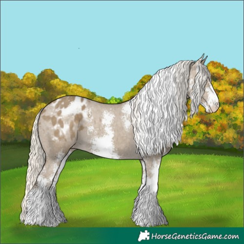 Horse Color:Silver Smoky Grullo Sabino Appaloosa 