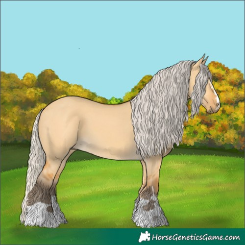 Horse Color:Silver Buckskin Dun 