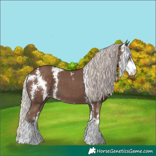Horse Color:Silver Black Sabino Appaloosa