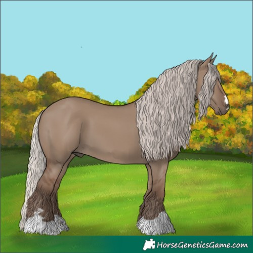 Horse Color:Silver Grullo 