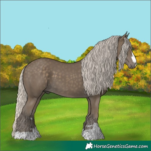 Horse Color:Silver Smoky Black 