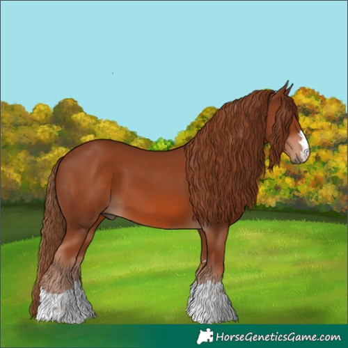 Horse Color:Chestnut 
