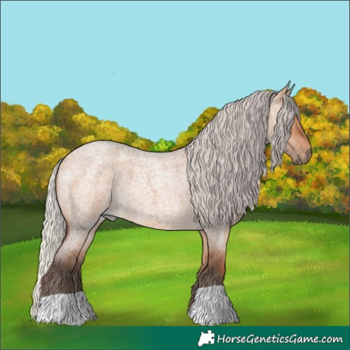 Horse Color:Silver Bay Roan Dun 