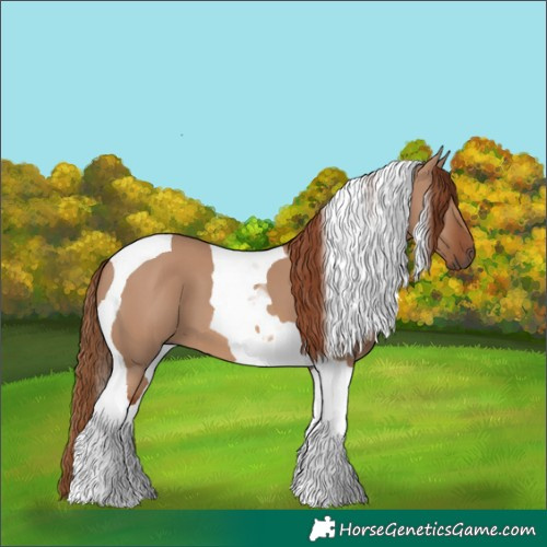 Horse Color:Red Dun Tobiano 