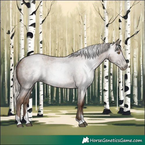 Horse Color:Gray Silver Blue Roan Pearl Tobiano 